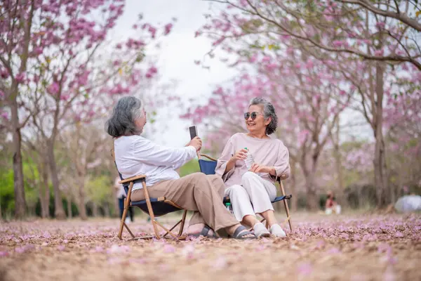 Gri saçlı yaşlı kadınlar birlikte güzel bir anın tadını çıkarıyorlar. Etrafı çiçek açan pembe çiçeklerle çevrili. İfadeler derin dostluk ve mutluluğu yansıtıyor..