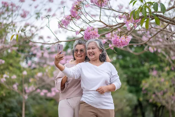 Gri saçlı yaşlı kadınlar birlikte güzel bir anın tadını çıkarıyorlar. Etrafı çiçek açan pembe çiçeklerle çevrili. İfadeler derin dostluk ve mutluluğu yansıtıyor..