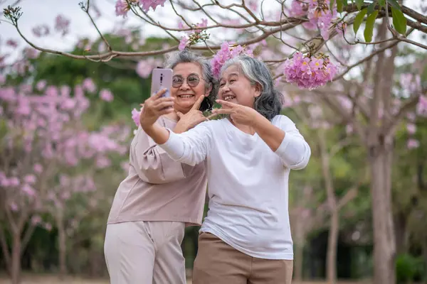 Gri saçlı yaşlı kadınlar birlikte güzel bir anın tadını çıkarıyorlar. Etrafı çiçek açan pembe çiçeklerle çevrili. İfadeler derin dostluk ve mutluluğu yansıtıyor..
