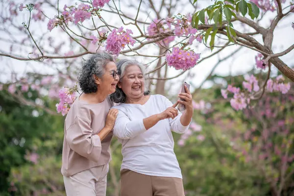Gri saçlı yaşlı kadınlar birlikte güzel bir anın tadını çıkarıyorlar. Etrafı çiçek açan pembe çiçeklerle çevrili. İfadeler derin dostluk ve mutluluğu yansıtıyor..