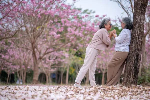 Gri saçlı yaşlı kadınlar birlikte güzel bir anın tadını çıkarıyorlar. Etrafı çiçek açan pembe çiçeklerle çevrili. İfadeler derin dostluk ve mutluluğu yansıtıyor..