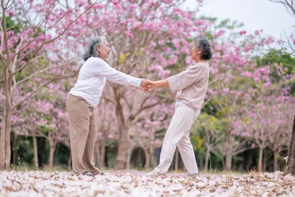 Gri saçlı yaşlı kadınlar birlikte güzel bir anın tadını çıkarıyorlar. Etrafı çiçek açan pembe çiçeklerle çevrili. İfadeler derin dostluk ve mutluluğu yansıtıyor..