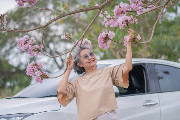 Pembe çiçeklerin neşeyle dallanan yaşlı bir kadın arabanın tepesinde dikilirken bir yolculuğa ya da barışçıl bir kaçışa işaret ediyor, doğayla olan özgürlük ve keşif bağını simgeliyor..