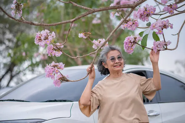 Pembe çiçeklerin neşeyle dallanan yaşlı bir kadın arabanın tepesinde dikilirken bir yolculuğa ya da barışçıl bir kaçışa işaret ediyor, doğayla olan özgürlük ve keşif bağını simgeliyor..