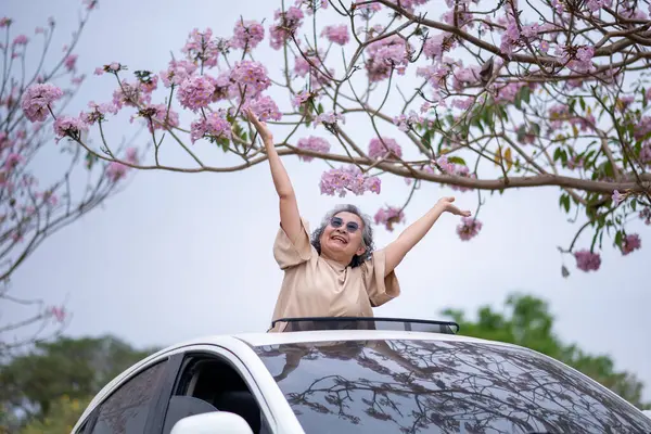 Pembe çiçeklerin neşeyle dallanan yaşlı bir kadın arabanın tepesinde dikilirken bir yolculuğa ya da barışçıl bir kaçışa işaret ediyor, doğayla olan özgürlük ve keşif bağını simgeliyor..