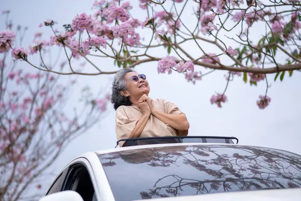 Pembe çiçeklerin neşeyle dallanan yaşlı bir kadın arabanın tepesinde dikilirken bir yolculuğa ya da barışçıl bir kaçışa işaret ediyor, doğayla olan özgürlük ve keşif bağını simgeliyor..