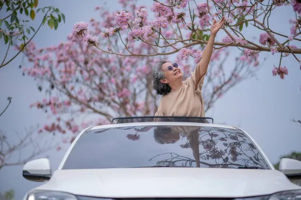 Pembe çiçeklerin neşeyle dallanan yaşlı bir kadın arabanın tepesinde dikilirken bir yolculuğa ya da barışçıl bir kaçışa işaret ediyor, doğayla olan özgürlük ve keşif bağını simgeliyor..