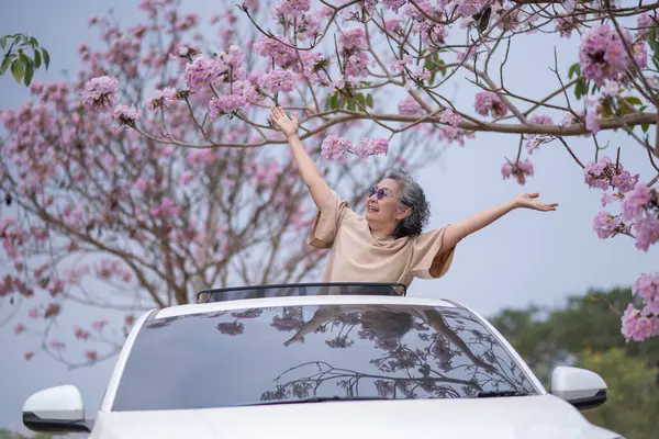 Pembe çiçeklerin neşeyle dallanan yaşlı bir kadın arabanın tepesinde dikilirken bir yolculuğa ya da barışçıl bir kaçışa işaret ediyor, doğayla olan özgürlük ve keşif bağını simgeliyor..