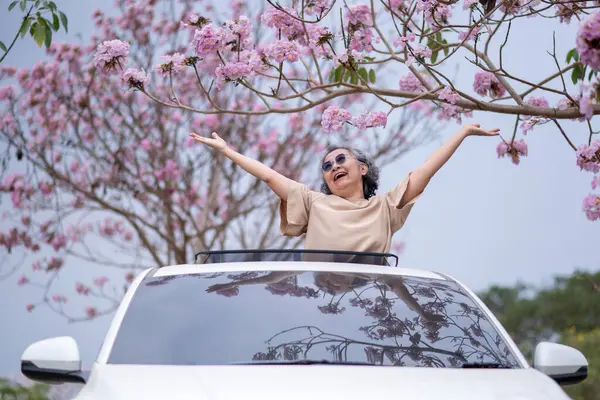 Pembe çiçeklerin neşeyle dallanan yaşlı bir kadın arabanın tepesinde dikilirken bir yolculuğa ya da barışçıl bir kaçışa işaret ediyor, doğayla olan özgürlük ve keşif bağını simgeliyor..