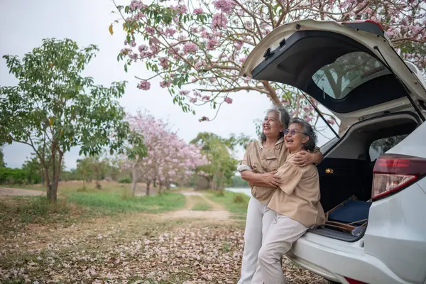 Pembe çiçeklerin neşeyle dallanan yaşlı bir kadın arabanın tepesinde dikilirken bir yolculuğa ya da barışçıl bir kaçışa işaret ediyor, doğayla olan özgürlük ve keşif bağını simgeliyor..