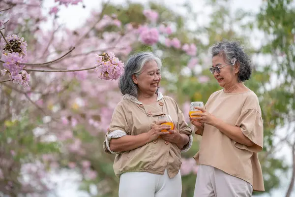 Serinletici portakal suyunun tadını çıkaran iki yaşlı kadın pembe çiçekli sağlıklı bir içecek dostluğun, rahatlamanın ve sevilen doğayla özel anları paylaşmanın esansını yakalar..  