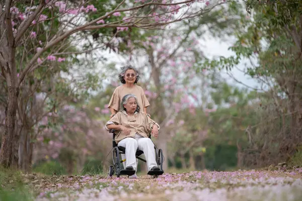 Arkadaşlık temalı tekerlekli sandalye temalı pembe çiçeklerle çevrili güzel doğa ortamındaki kadınlar, genel olarak sevgi, şefkat ve insan bağlantıları yayar..
