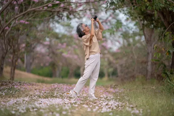 Elinde fotoğraf makinesi olan yaşlı bir kadın portresi. Bir grup pembe çiçek. Doğa ve fotoğrafçılığa duyulan hayranlık..