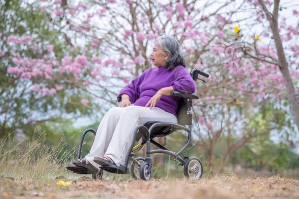 Arkadaşlık temalı tekerlekli sandalye temalı pembe çiçeklerle çevrili güzel doğa ortamındaki kadınlar, genel olarak sevgi, şefkat ve insan bağlantıları yayar..