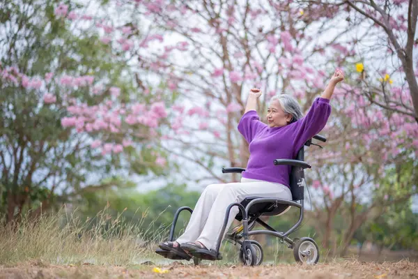 Arkadaşlık temalı tekerlekli sandalye temalı pembe çiçeklerle çevrili güzel doğa ortamındaki kadınlar, genel olarak sevgi, şefkat ve insan bağlantıları yayar..