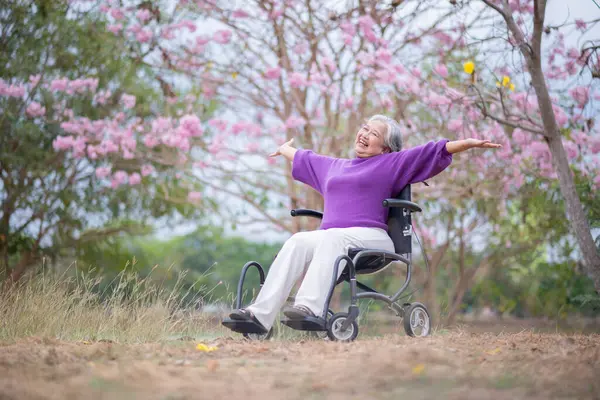 Arkadaşlık temalı tekerlekli sandalye temalı pembe çiçeklerle çevrili güzel doğa ortamındaki kadınlar, genel olarak sevgi, şefkat ve insan bağlantıları yayar..