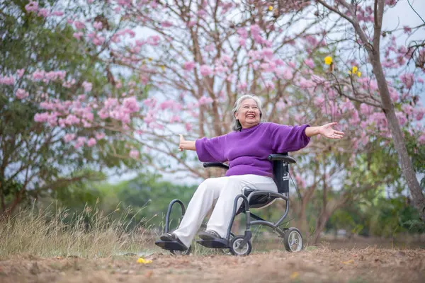 Arkadaşlık temalı tekerlekli sandalye temalı pembe çiçeklerle çevrili güzel doğa ortamındaki kadınlar, genel olarak sevgi, şefkat ve insan bağlantıları yayar..