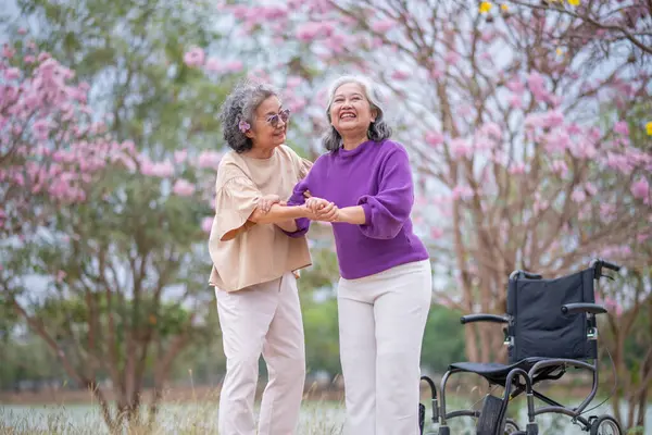 Arkadaşlık temalı tekerlekli sandalye temalı pembe çiçeklerle çevrili güzel doğa ortamındaki kadınlar, genel olarak sevgi, şefkat ve insan bağlantıları yayar..