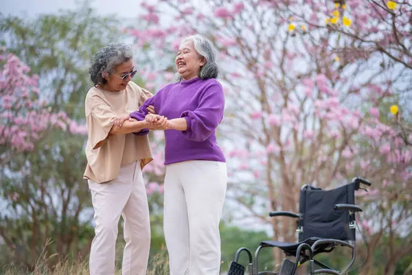 Arkadaşlık temalı tekerlekli sandalye temalı pembe çiçeklerle çevrili güzel doğa ortamındaki kadınlar, genel olarak sevgi, şefkat ve insan bağlantıları yayar..