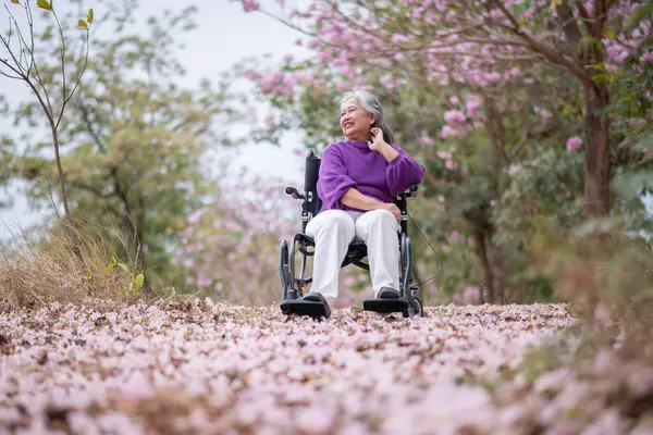 Arkadaşlık temalı tekerlekli sandalye temalı pembe çiçeklerle çevrili güzel doğa ortamındaki kadınlar, genel olarak sevgi, şefkat ve insan bağlantıları yayar..