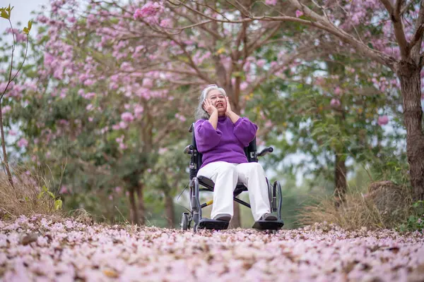 Arkadaşlık temalı tekerlekli sandalye temalı pembe çiçeklerle çevrili güzel doğa ortamındaki kadınlar, genel olarak sevgi, şefkat ve insan bağlantıları yayar..