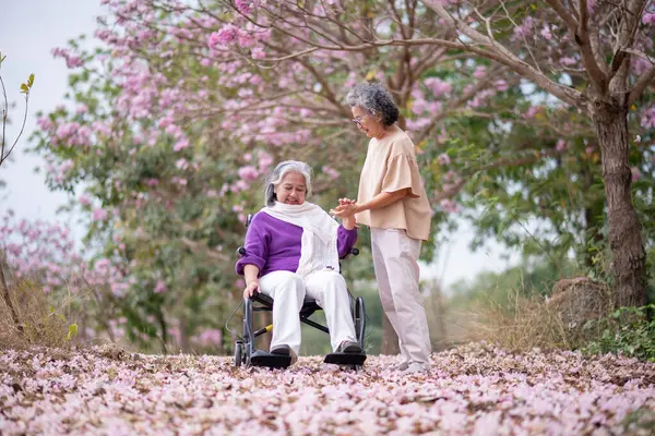 Arkadaşlık temalı tekerlekli sandalye temalı pembe çiçeklerle çevrili güzel doğa ortamındaki kadınlar, genel olarak sevgi, şefkat ve insan bağlantıları yayar..