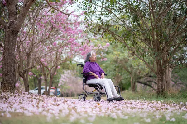 Arkadaşlık temalı tekerlekli sandalye temalı pembe çiçeklerle çevrili güzel doğa ortamındaki kadınlar, genel olarak sevgi, şefkat ve insan bağlantıları yayar..