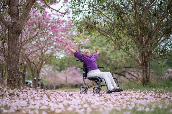Arkadaşlık temalı tekerlekli sandalye temalı pembe çiçeklerle çevrili güzel doğa ortamındaki kadınlar, genel olarak sevgi, şefkat ve insan bağlantıları yayar..