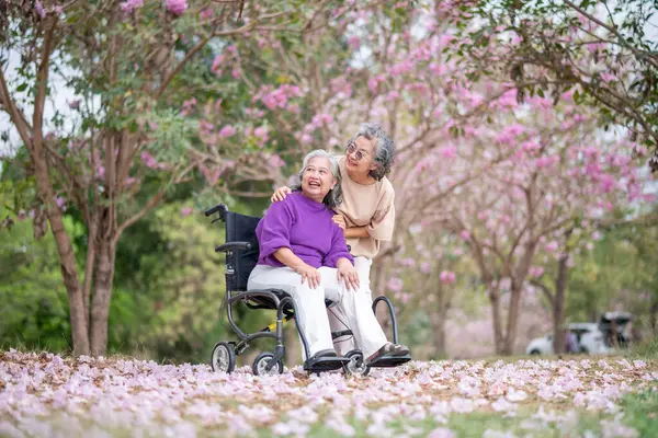 Arkadaşlık temalı tekerlekli sandalye temalı pembe çiçeklerle çevrili güzel doğa ortamındaki kadınlar, genel olarak sevgi, şefkat ve insan bağlantıları yayar..