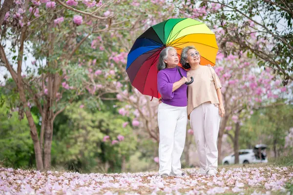 Gri saçlı yaşlı kadınlar birlikte güzel bir anın tadını çıkarıyorlar. Etrafı çiçek açan pembe çiçeklerle çevrili. İfadeler derin dostluk ve mutluluğu yansıtıyor..