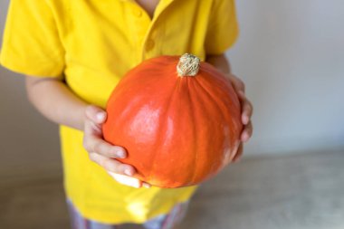 Balkabağı oğlanın ellerinde, yakın plan. Cadılar Bayramı ve Şükran Günü konsepti.