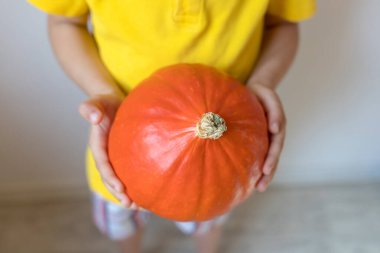 Balkabağı oğlanın ellerinde, yakın plan. Cadılar Bayramı ve Şükran Günü konsepti.