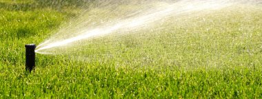 Otomatik bahçe sulama sistemi çimleri suluyor. Fıskiye sulama sisteminden ayarlanabilir başlıklı su tasarrufu. Çimlerin sulanması ve bakımı ve bahçe bakımı için otomatik ekipman.