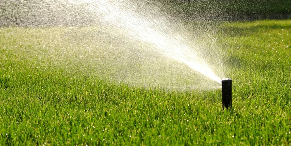 Automatisches Gartenbewässerungssystem Zur Rasenbewässerung Wassereinsparung Durch Sprinklerbewässerung Mit Verstellbarem Kopf — Stockfoto