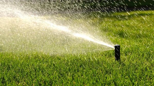 Automatic garden irrigation system watering lawn. Savings of water from sprinkler irrigation system with adjustable head. Automatic equipment for irrigation and maintenance of lawns, gardening.