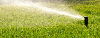 Otomatik bahçe sulama sistemi çimleri suluyor. Fıskiye sulama sisteminden ayarlanabilir başlıklı su tasarrufu. Çimlerin sulanması ve bakımı ve bahçe bakımı için otomatik ekipman.