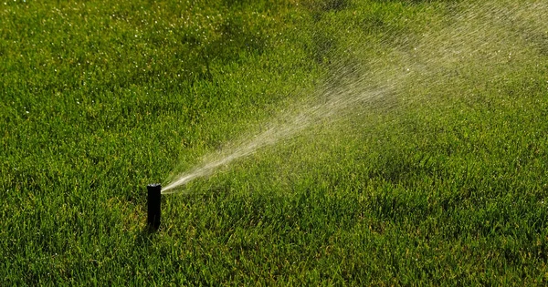 Automatyczny System Nawadniania Ogrodu Podlewania Trawnika Oszczędność Wody Dzięki Systemowi — Zdjęcie stockowe