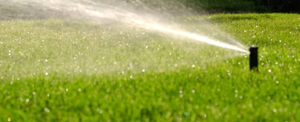 Automatic Garden Irrigation System Watering Lawn Savings Water Sprinkler Irrigation — Stock Photo, Image