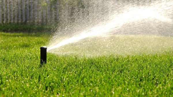 自動庭灌漑システムは芝生に散水する 調節可能なヘッドとスプリンクラー灌漑システムからの水の節約 園芸の灌漑と維持のための自動機器 — ストック写真