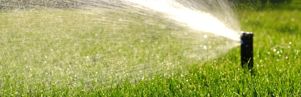 自動庭灌漑システムは芝生に散水する 調節可能なヘッドとスプリンクラー灌漑システムからの水の節約 園芸の灌漑と維持のための自動機器 — ストック写真