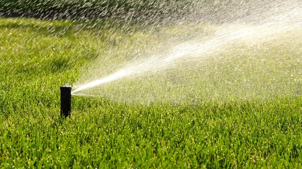 Automatic Garden Irrigation System Watering Lawn Savings Water Sprinkler Irrigation — Stock Photo, Image