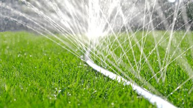 Jetler ve sıçramalar yakın çekim, çimleri hortumla sulamak. Otomatik bahçe sulama sistemi çimleri suluyor. Çimlerin sulanması ve bakımı ve bahçe bakımı için otomatik ekipman.