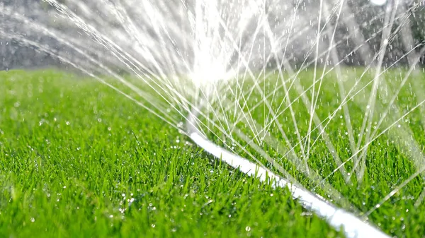 Jetler ve sıçramalar yakın çekim, çimleri hortumla sulamak. Otomatik bahçe sulama sistemi çimleri suluyor. Çimlerin sulanması ve bakımı ve bahçe bakımı için otomatik ekipman.