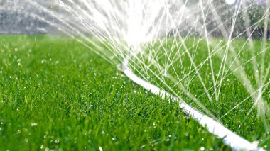 Jetler ve sıçramalar yakın çekim, çimleri hortumla sulamak. Otomatik bahçe sulama sistemi çimleri suluyor. Çimlerin sulanması ve bakımı ve bahçe bakımı için otomatik ekipman.