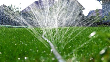 Jetler ve sıçramalar yakın çekim, çimleri hortumla sulamak. Otomatik bahçe sulama sistemi çimleri suluyor. Çimlerin sulanması ve bakımı ve bahçe bakımı için otomatik ekipman.