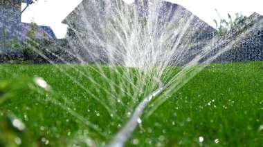 Jetler ve sıçramalar yakın çekim, çimleri hortumla sulamak. Otomatik bahçe sulama sistemi çimleri suluyor. Çimlerin sulanması ve bakımı ve bahçe bakımı için otomatik ekipman.