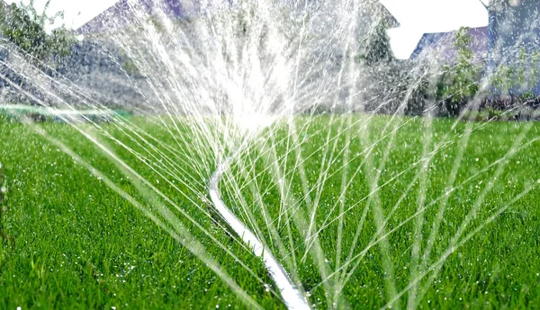 喷气式飞机和飞溅的特写 用软管浇灌草坪 花园自动灌溉系统浇灌草坪 灌溉和维护草坪 园艺的自动化设备 — 图库照片
