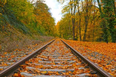 Sonbahar ormanlarına doğru uzanan demiryolu raylarının resimli manzarası. Canlı kırmızı, turuncu ve sarı yapraklı ağaçlar şaşırtıcı bir sonbahar bulanık arka plan oluşturur..