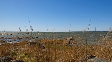 Dağılmış kayaları ve açık mavi gökyüzünün altında kuru otları olan kayalık deniz kıyıları. Sakin deniz suyu, güneşli bir günde sert kıyı manzarasıyla renksiz renklerle karşılaşır. Minimalist, şık ve modaya uygun bir kavram.