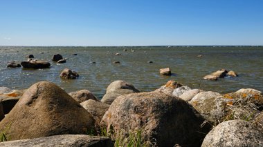 Dağılmış kayaları ve açık mavi gökyüzünün altında kuru otları olan kayalık deniz kıyıları. Sakin deniz suyu, güneşli bir günde sert kıyı manzarasıyla renksiz renklerle karşılaşır. Minimalist, şık ve modaya uygun bir kavram.
